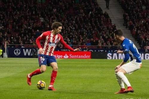 马德里竞技本场坐镇“魔鬼主场”，迎来本赛季欧冠小组赛第 5 轮